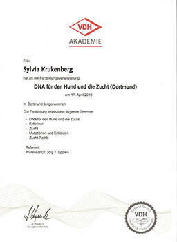 Seminar DNA