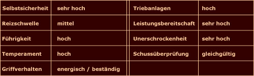 Wesensbildschema